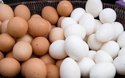رضایی: تخم مرغ به میزان کافی در کشور فراوری می گردد