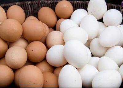 رضایی: تخم مرغ به میزان کافی در کشور فراوری می گردد