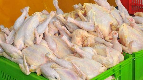 مجوز واردات 50 هزار تن گوشت مرغ به گمرک ابلاغ شد مجوز واردات 50 هزار تن گوشت مرغ به گمرک ابلاغ شد